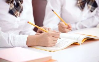 还在担心上学难？专业教育咨询助您轻松应对